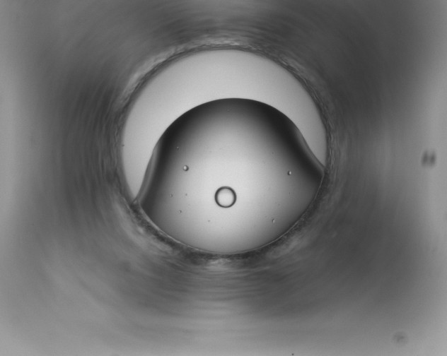 X0000112880064200909181858