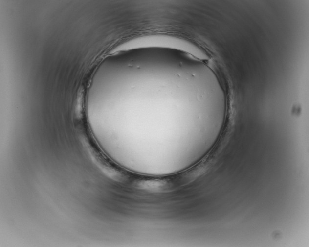 X0000112880065200909181858