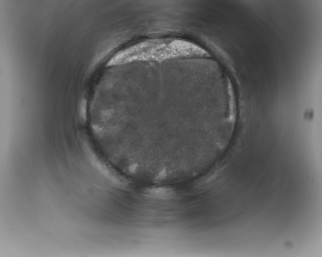 X0000112880067200909181858