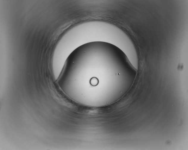 X0000112880068200909181858