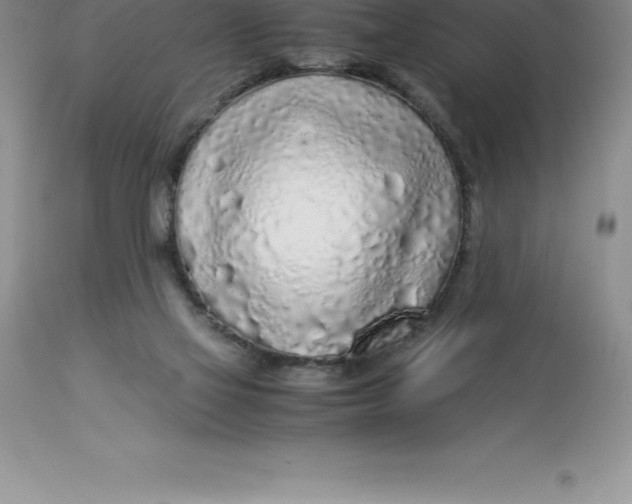 X0000112880069200909181858