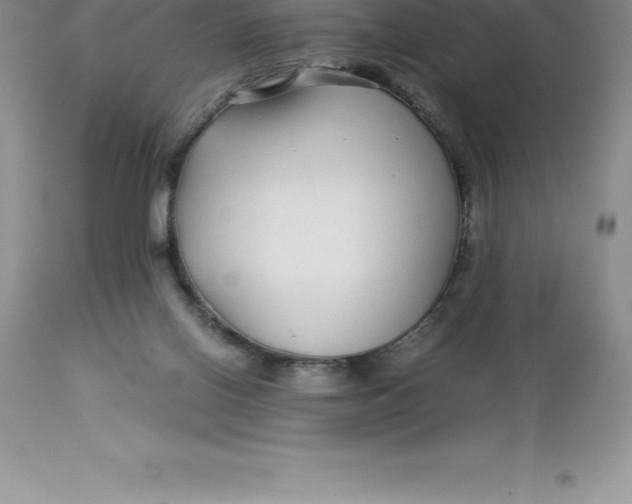 X0000112880070200909181858