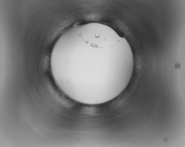 X0000112880071200909181858