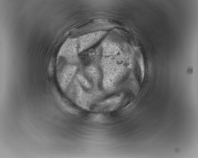 X0000112880074200909181858