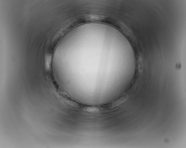 X0000112880075200909181858