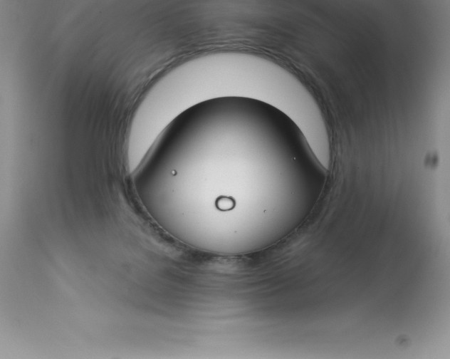 X0000112880076200909181858