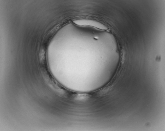 X0000112880077200909181858