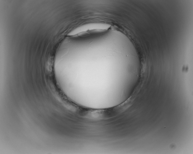 X0000112880078200909181858