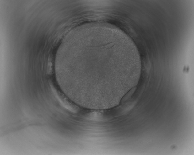 X0000112880080200909181858