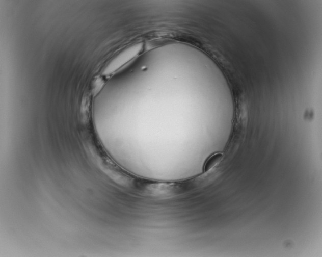 X0000112880082200909181858