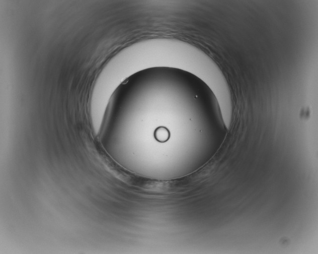 X0000112880084200909181858