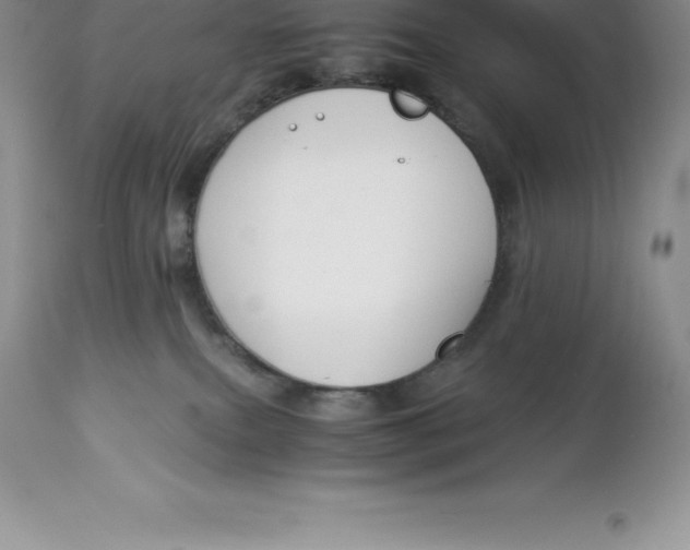 X0000112880087200909181858