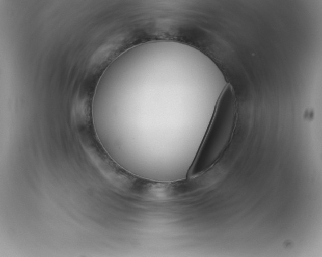 X0000112880088200909181858