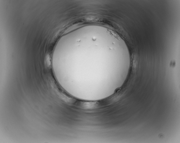 X0000112880089200909181858