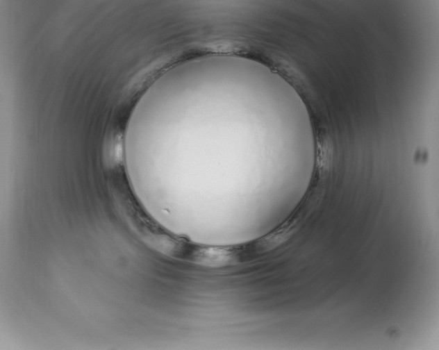 X0000112880095200909181858