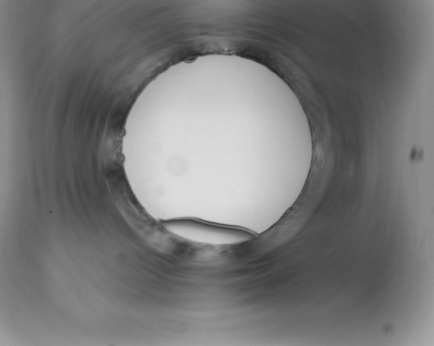 X0000112880096200909181858