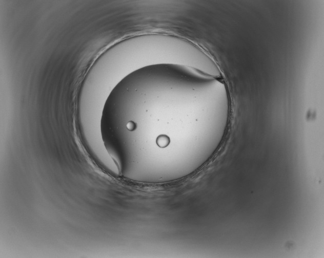 X0000112880097200909181858