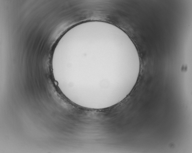 X0000112880098200909181858