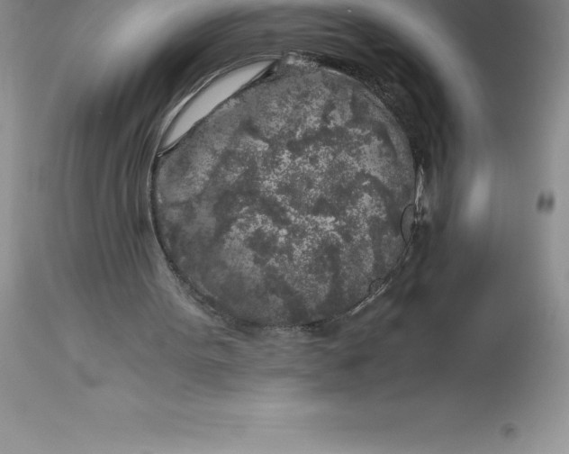 X0000112880099200909181858