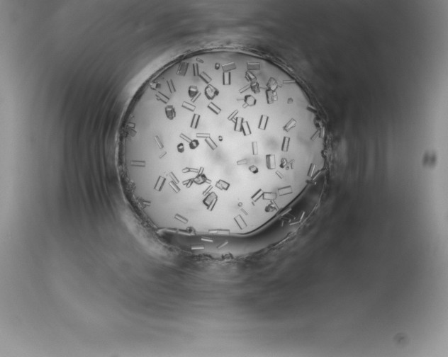 X0000112880100200909181858