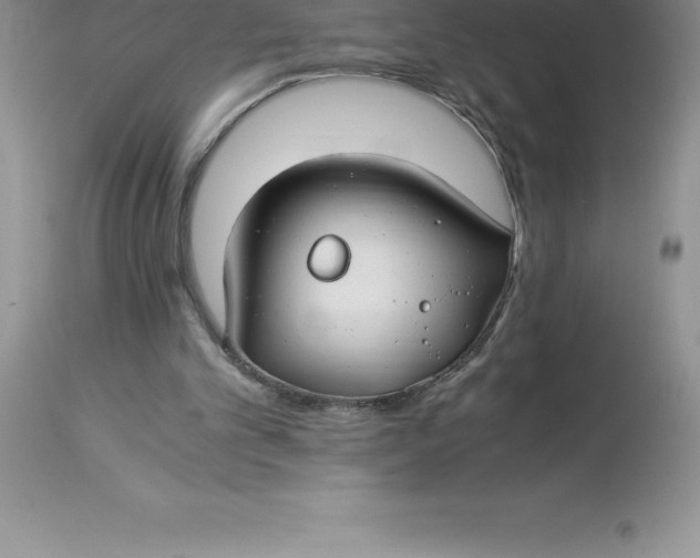 X0000112880101200909181858