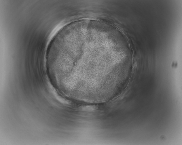 X0000112880102200909181858