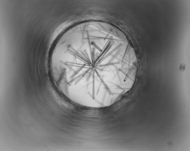 X0000112880104200909181858