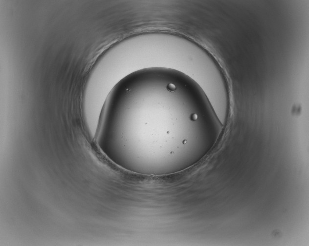 X0000112880105200909181858