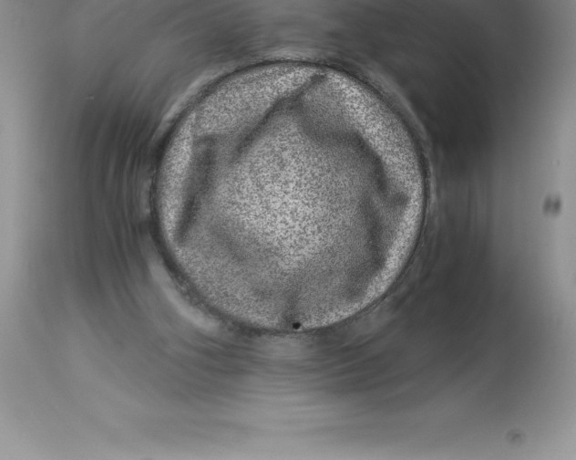 X0000112880106200909181858