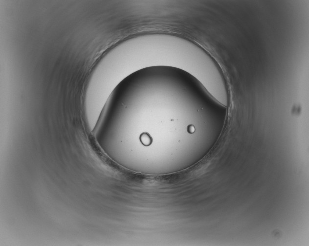 X0000112880109200909181857