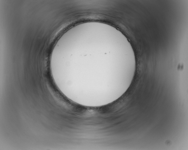 X0000112880111200909181857