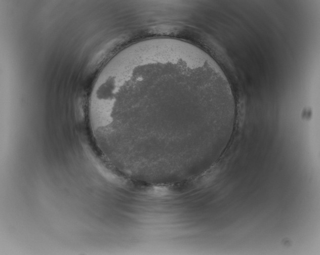 X0000112880114200909181857