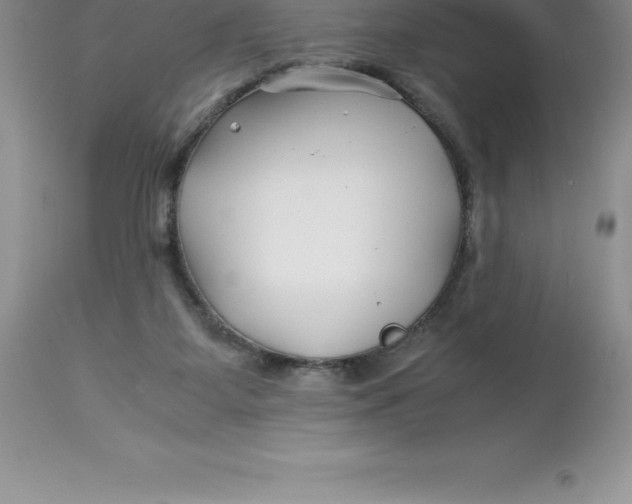 X0000112880115200909181857