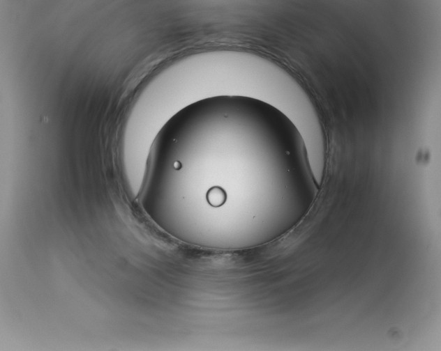 X0000112880116200909181857