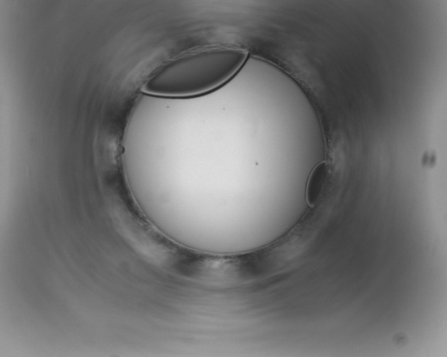 X0000112880117200909181857