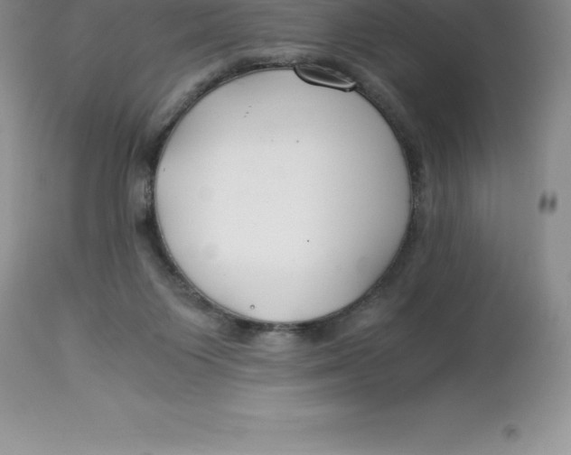 X0000112880119200909181857