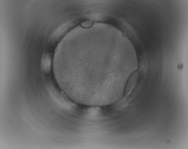 X0000112880124200909181857