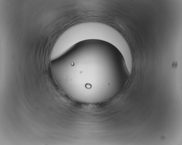 X0000112880125200909181857