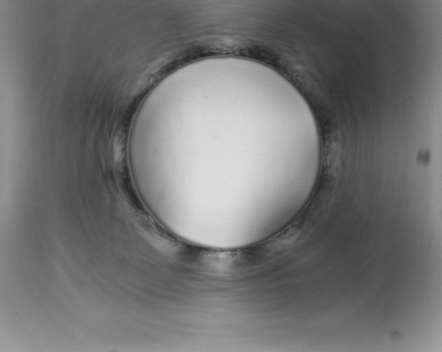 X0000112880131200909181857