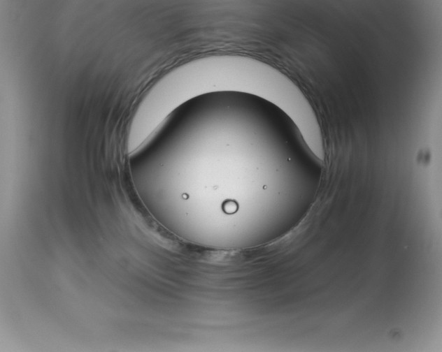 X0000112880136200909181857