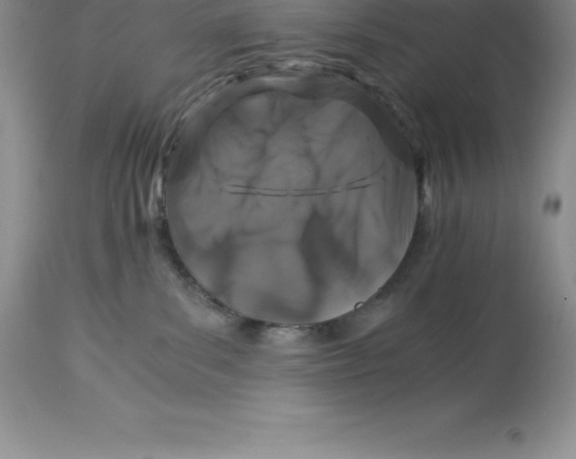 X0000112880139200909181857