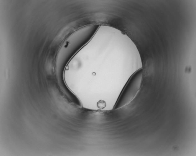 X0000112880140200909181857
