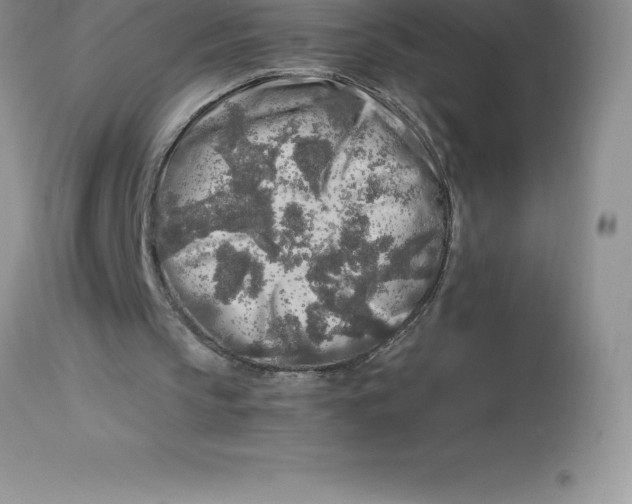 X0000112880145200909181856