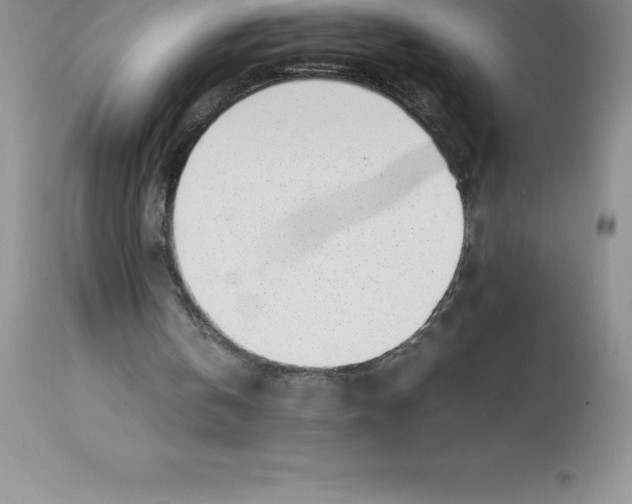 X0000112880146200909181856