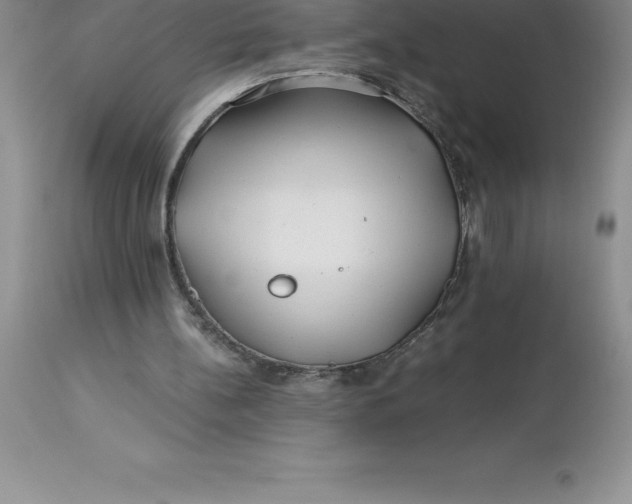 X0000112880148200909181856