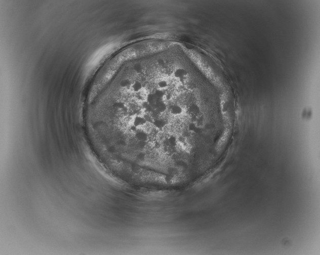 X0000112880149200909181856