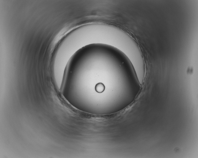 X0000112880150200909181856