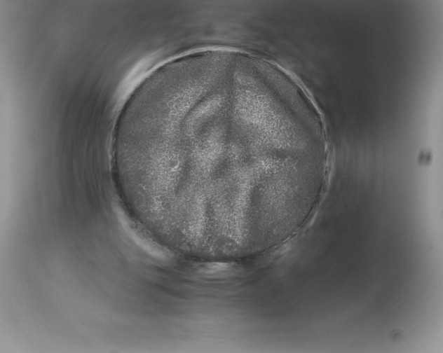 X0000112880151200909181856