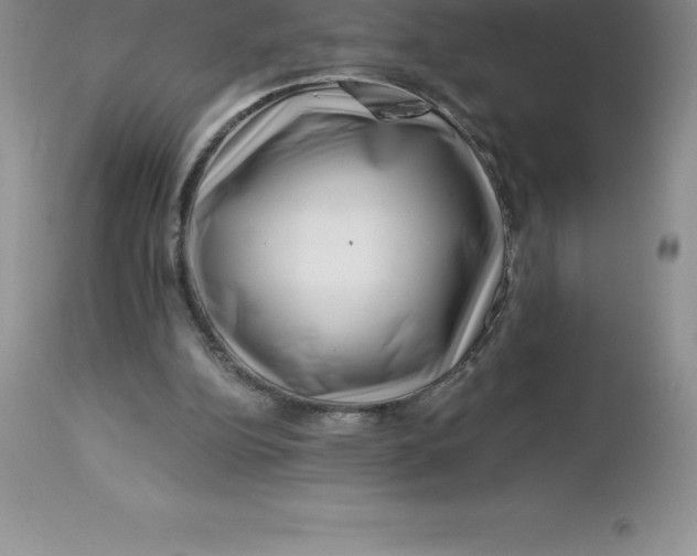 X0000112880152200909181856