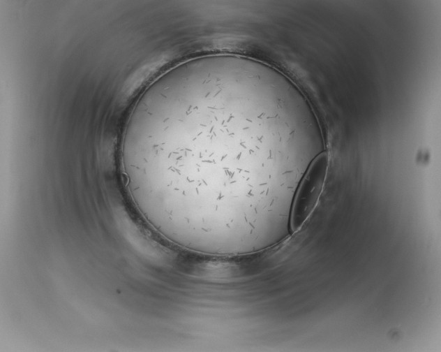 X0000112880154200909181856